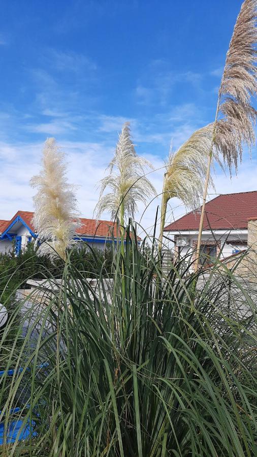Complex Turistic Essenza Hotel มูรีกีโอล ภายนอก รูปภาพ